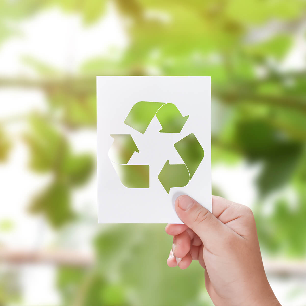 Comment combiner ce type d’économie au tourisme ?