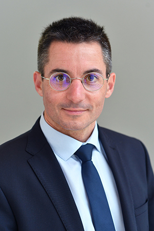 Nicolas Dayot, Président de la FNHPA