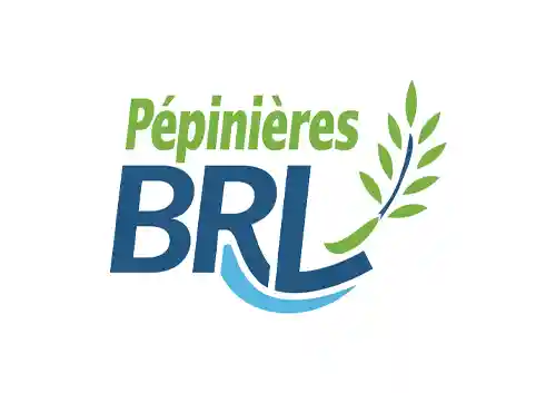 BRL