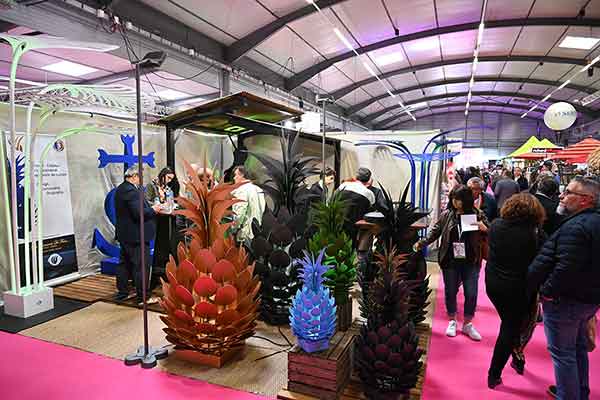 Photothèque SETT 2021