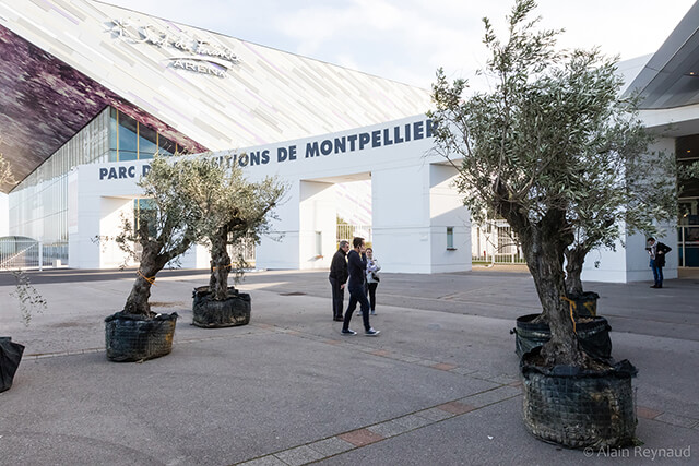 Salon Sett 2017 Photothèque