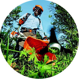 Activity area Green Areas